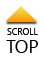 Scroll Top